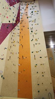 Affordance Realization in Climbing: Learning and Transfer